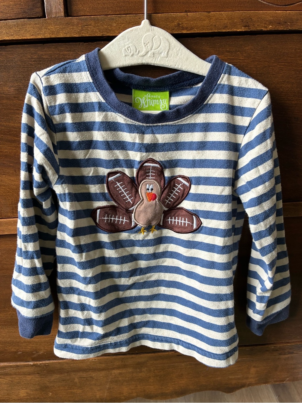 Blue & White Striped Long Sleeve Tee with Turkey Appliqué